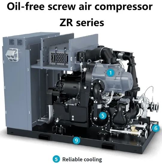 Atlas Copco Oil-Free Rotary Screw Air Compressor Zr250 Air Cooler Water Cooler factory